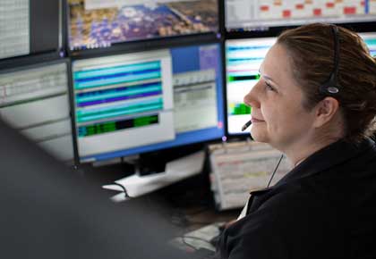 Software Services